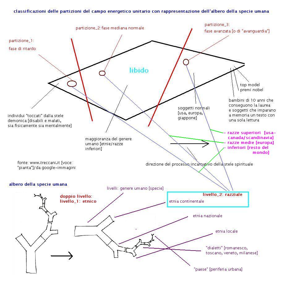 partizionicampoenergeticoalberospecieumanadoppiolivello