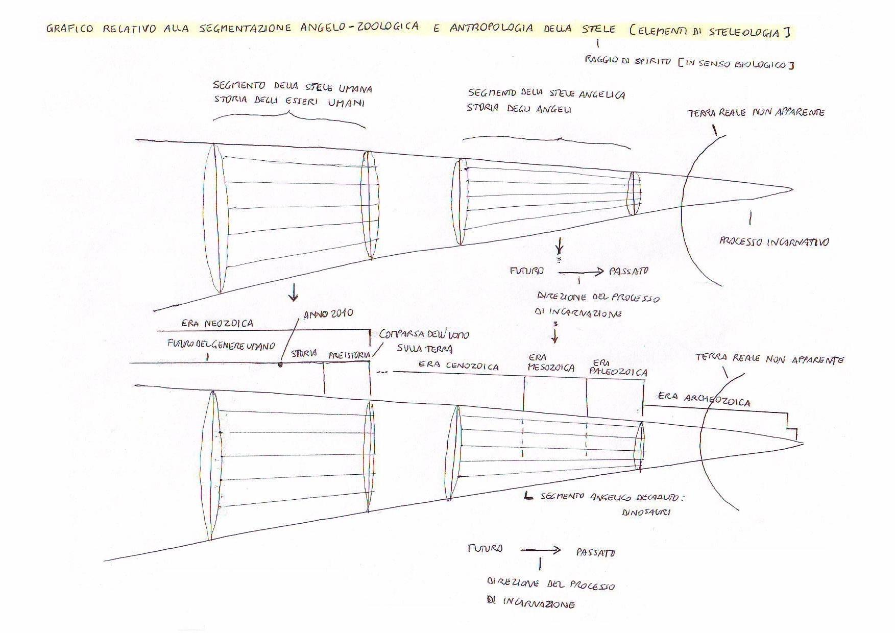 segmentazionestelica