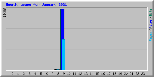 Hourly usage for January 2021