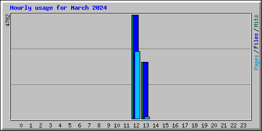 Hourly usage for March 2024