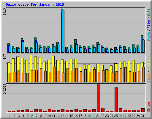 Daily usage for January 2013