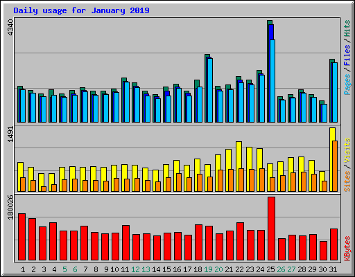 Daily usage for January 2019