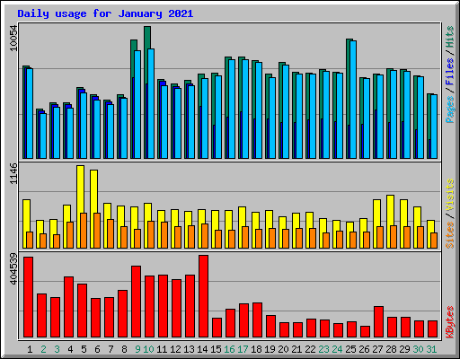 Daily usage for January 2021