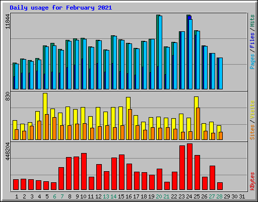 Daily usage for February 2021