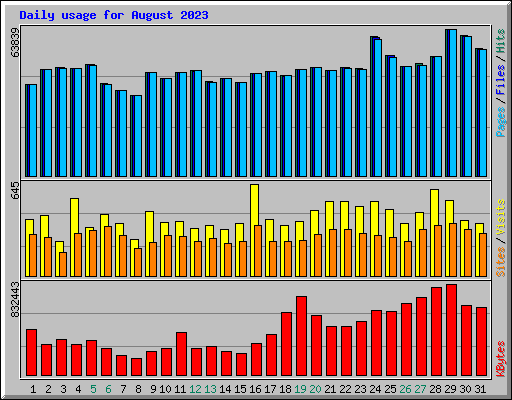 Daily usage for August 2023