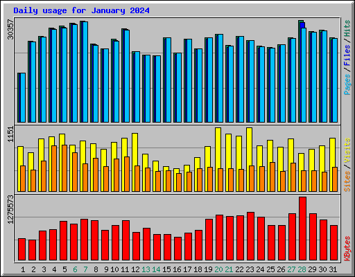 Daily usage for January 2024