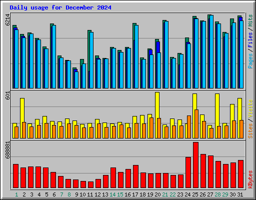 Daily usage for December 2024