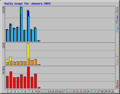 Daily usage for January 2025