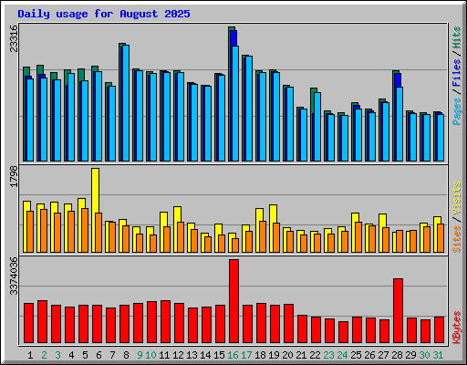 Daily usage for August 2025