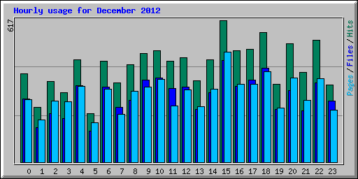 Hourly usage for December 2012