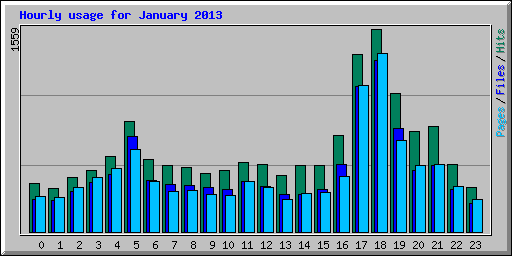 Hourly usage for January 2013