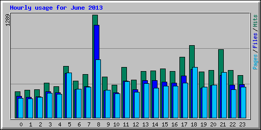 Hourly usage for June 2013