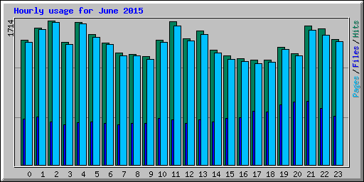 Hourly usage for June 2015