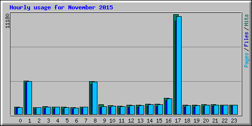 Hourly usage for November 2015