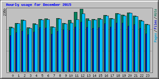 Hourly usage for December 2015