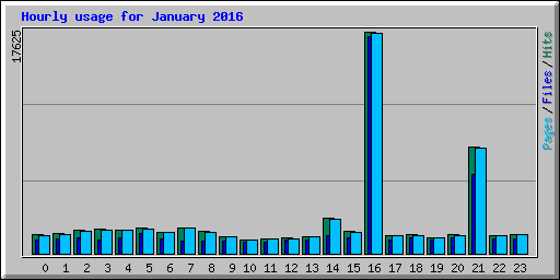 Hourly usage for January 2016