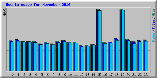 Hourly usage for November 2016