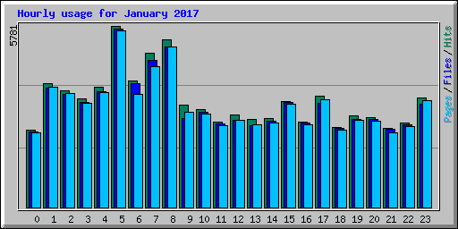 Hourly usage for January 2017