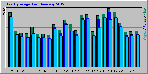 Hourly usage for January 2019