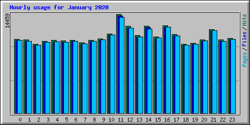 Hourly usage for January 2020