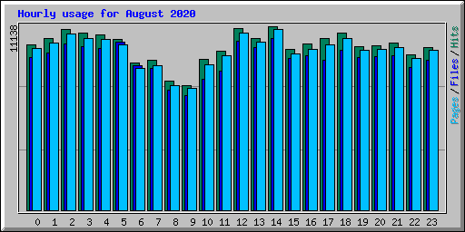 Hourly usage for August 2020