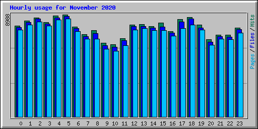 Hourly usage for November 2020