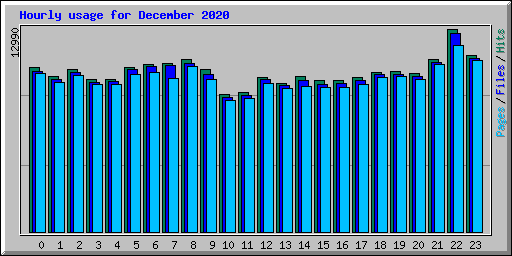 Hourly usage for December 2020