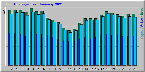 Hourly usage for January 2021