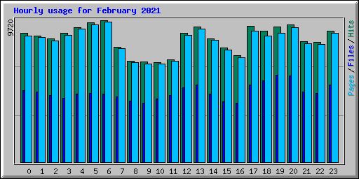 Hourly usage for February 2021