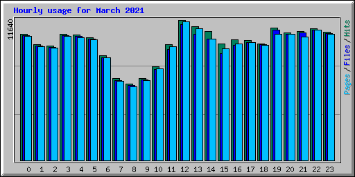 Hourly usage for March 2021