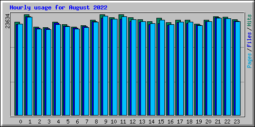 Hourly usage for August 2022