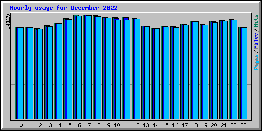 Hourly usage for December 2022