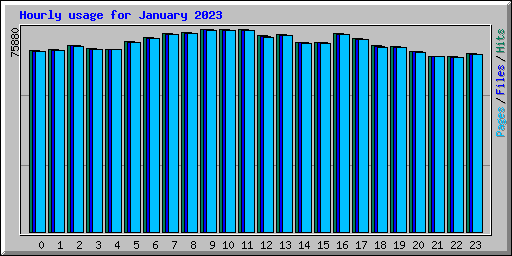 Hourly usage for January 2023