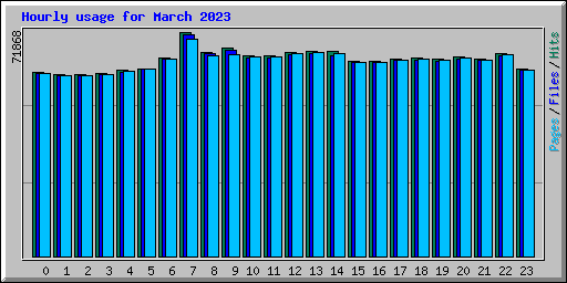 Hourly usage for March 2023