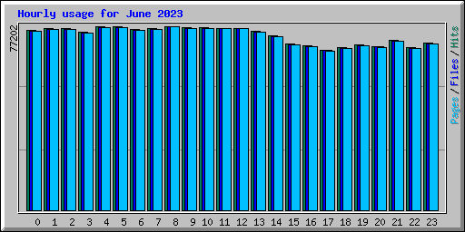 Hourly usage for June 2023