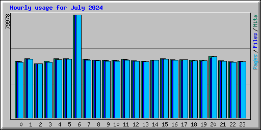 Hourly usage for July 2024