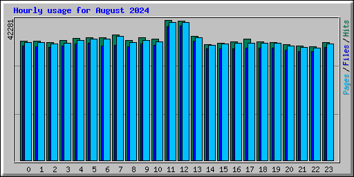 Hourly usage for August 2024