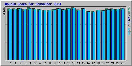 Hourly usage for September 2024