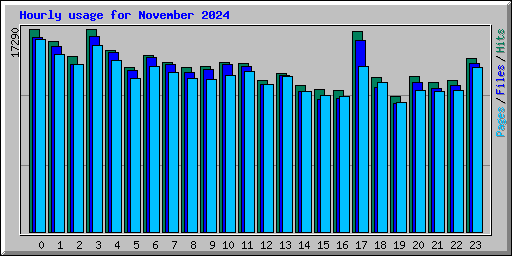 Hourly usage for November 2024