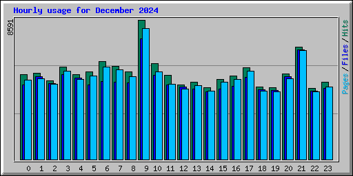 Hourly usage for December 2024