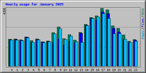 Hourly usage for January 2025