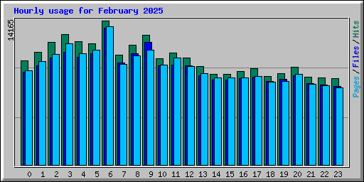 Hourly usage for February 2025