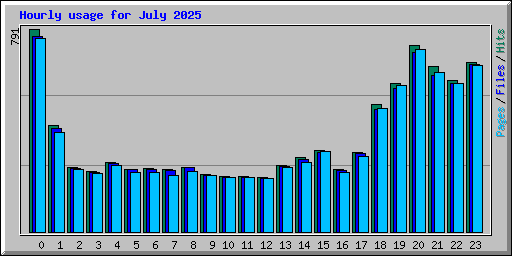 Hourly usage for July 2025