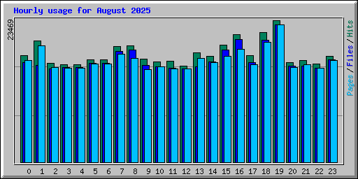 Hourly usage for August 2025