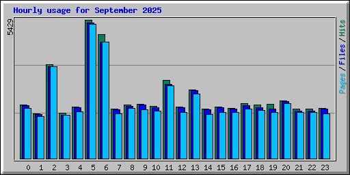 Hourly usage for September 2025