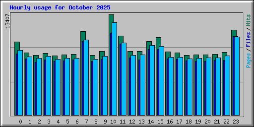 Hourly usage for October 2025