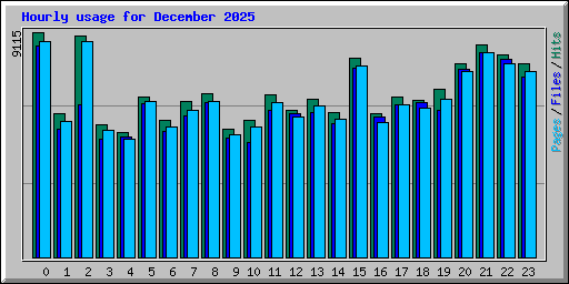 Hourly usage for December 2025