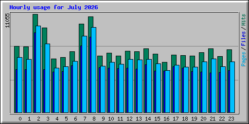 Hourly usage for July 2026